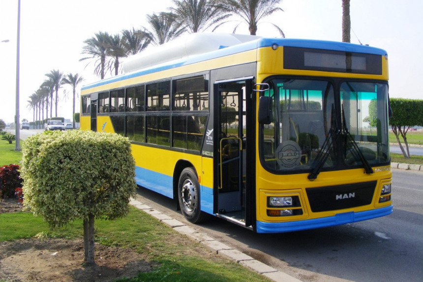 В Каире появятся газовые автобусы MAN с египетскими кузовами
