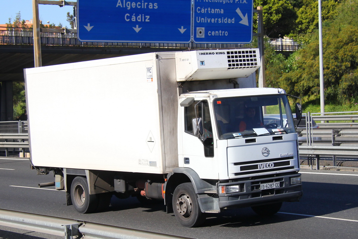 IVECO отмечает 75 лет Pegaso: вспоминаем историю забытой марки — Авторевю