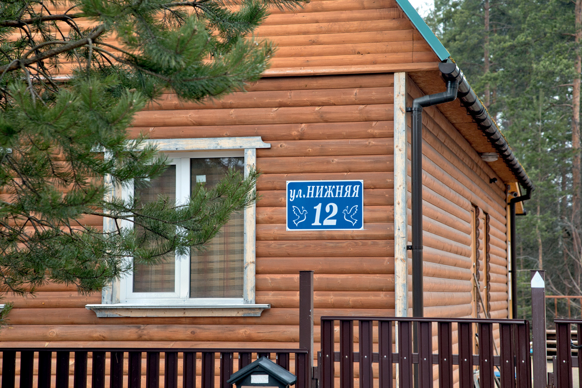 Любовь и голуби — Авторевю