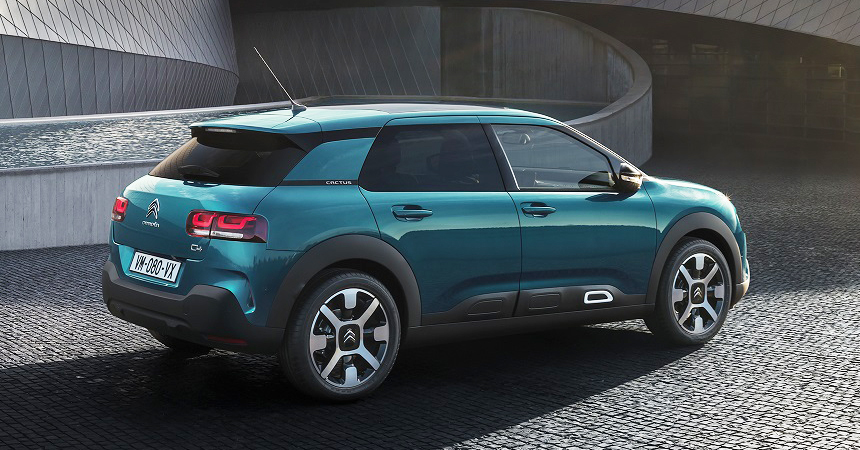 C4 cactus cs piumini best sale