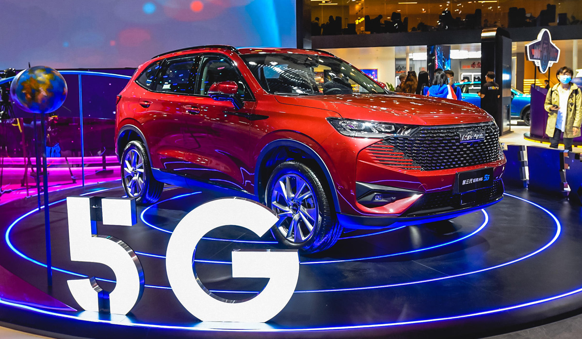 Haval x dog