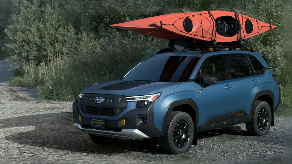 Subaru Forester Wildlife